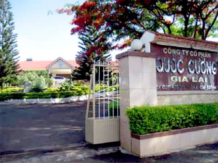 'Qua bom' hang tram ty tai Quoc Cuong Gia Lai hinh anh