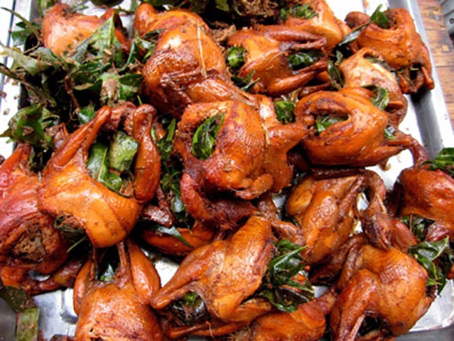 Bien vit thai thanh chim se, cut thoi thanh bo cau hinh anh