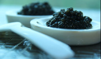 Gan chuc trieu mot hop trung ca tam bieu Tet hinh anh