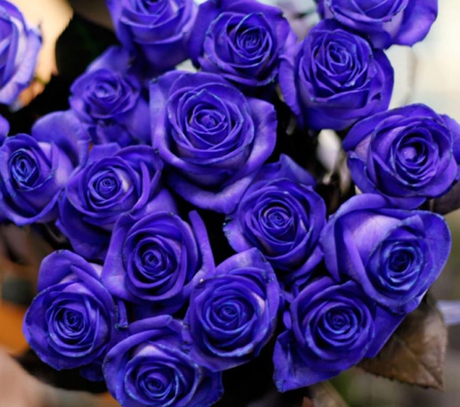 Hon 5 trieu dong mot bo hong xanh Valentine hinh anh