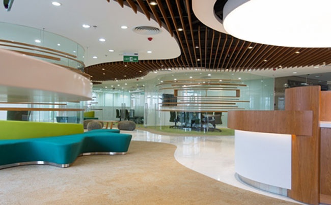 Van phong dep nhu mo cua Nestle Viet Nam hinh anh