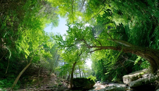 và chụp lại cảnh vật dọc theo lưu vực sông Hudson.