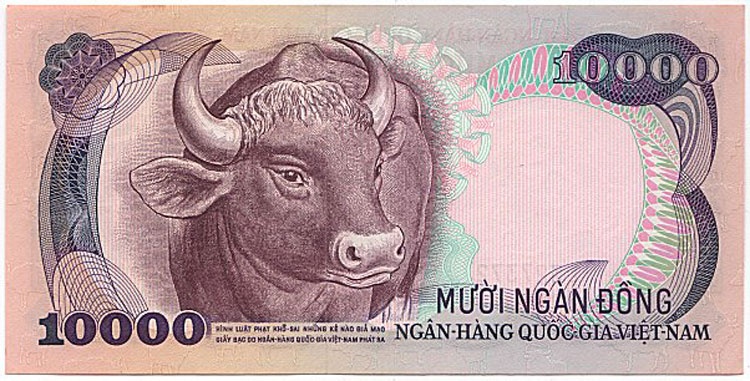 Tờ bạc 10.000 đồng ra đời có hình con trâu, in màu chì.