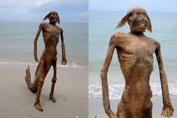 Quai vat nguoi ca duoc rao ban gia ca nghin USD hinh anh