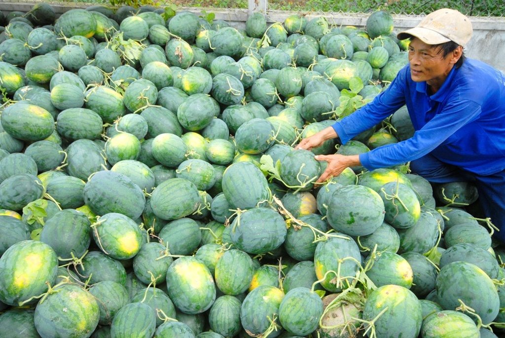 Khi nao nong san Viet het canh duoc mua mat gia? hinh anh