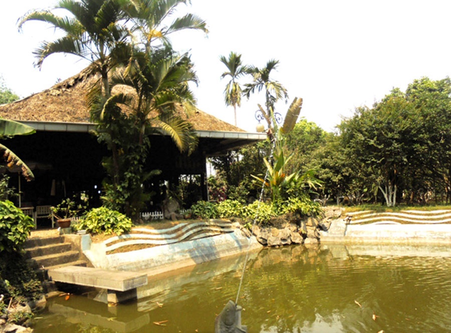 Ngôi nhà sàn dân tộc Mường của ông Nguyên Văn Hinh (Thôn 6  Hòa Thạch, Quốc Oai) mua về từ vùng Tây Bắc năm 2002 với giá 70 triệu đồng. Ông bố trí rất nhiều cây bóng mát xung quanh. 