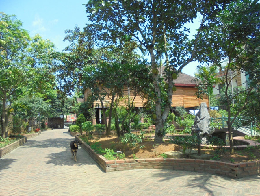 Hàng trăm nếp nhà sàn lấp ló sau những hàng cây, đó là điểm đặc trưng của vùng đồng quê Phú Cát, Hòa Thạch (Quốc Oai - Hà Nội).