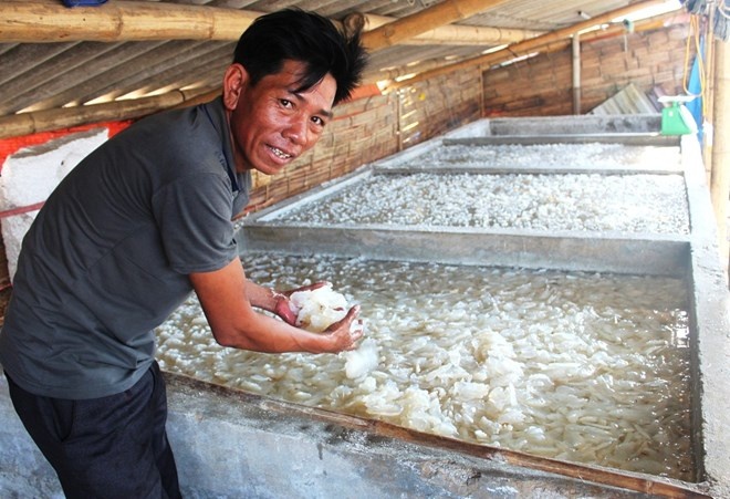 Bat sua bien thu gan 2 trieu moi dem hinh anh