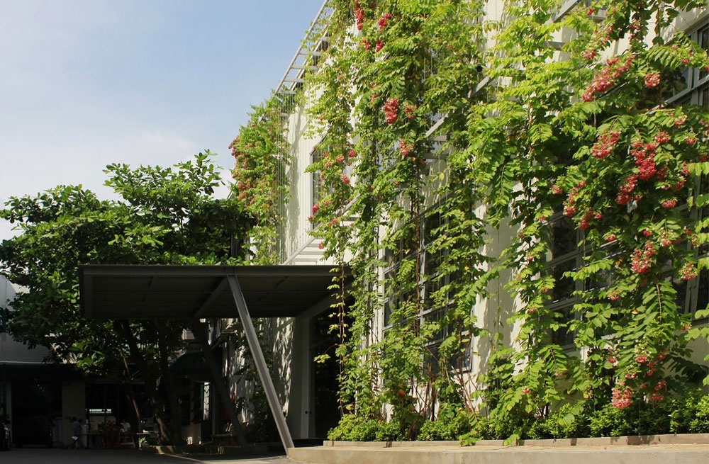 Phía tường ngoài, một giàn khung sắt được thiết kế để trồng dây leo.