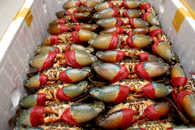 Ca Mau phat thuong lai Trung Quoc mua cua trai phep hinh anh