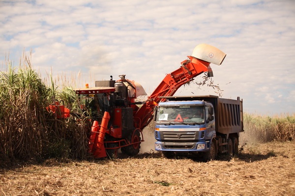 Từ bất động sản, bầu Đức lại trở thành người định giá mía đường khi đưa sản phẩm này về Việt Nam.