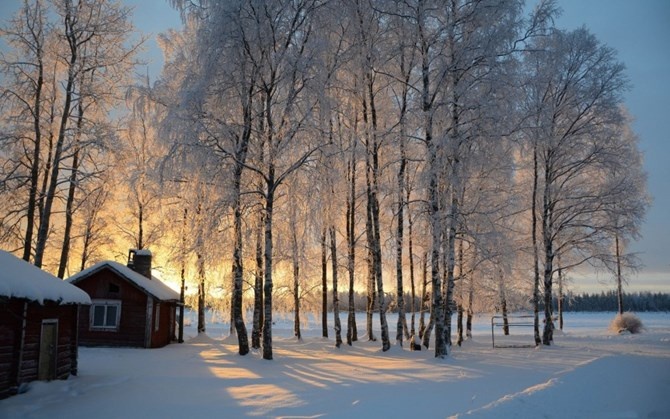 Đất nước nằm ở khu vực Bắc Âu này mặc dù có diện tích nhỏ, nhưng lại có ảnh hưởng rất lớn trên toàn cầu. Phần Lan nổi tiếng về giáo dục và luôn đặt giáo dục làm trung tâm nên chính phủ nước này luôn có nhiều chính sách khuyến học, học bổng cho các sinh viên trên khắp thế giới. Đây cũng là nước giữ một số lượng lớn các giải thưởng Nobel và phát hành một lượng lớn các ấn phẩm, tạp chí chất lượng quốc tế ra thế giới.