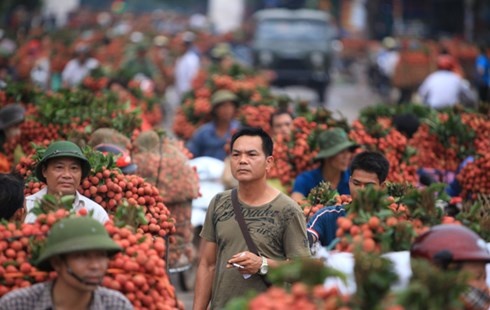 Dan ban vai lo thuong nhan Trung Quoc gian doi, quyt tien hinh anh