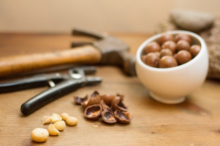 Khi khô, quả có màu nâu, bên trong chứa nhân hạt màu sữa. Quả mắc ca khô rất khó tách nhân bởi vỏ của chúng rất cứng. Mắc ca được đánh giá cao về mặt dinh dưỡng khi nhân của nó có hàm lượng dầu tới 78%, với trên 87% là axit béo không no, trong đó có nhiều loại mà cơ thể con người không tự tổng hợp được. Hàm lượng protein trong nhân có tới 9,2%, gồm 20 loại axit amin và có 8 loại axit amin cần thiết cho cơ thể con người.