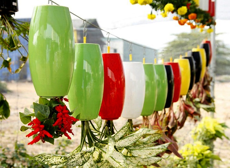 Chi tien trieu sam vuon treo nguoc doc dao hinh anh