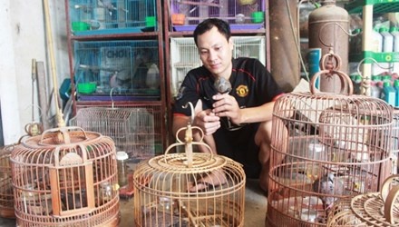 Trieu phu nuoi chim cu gay hinh anh