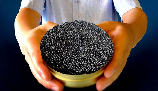 Ong chu ca tam trieu do: 'Toi khong kinh doanh hang hieu' hinh anh