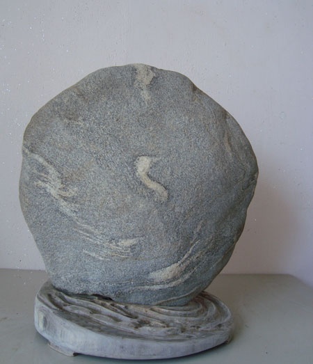 “Tung tăng” với hình con thiên nga bơi lội trên dòng nước.