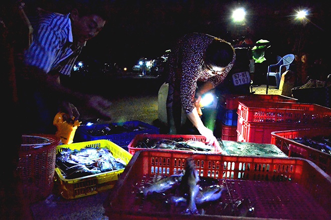 Cho ca dem mua nuoc noi lon nhat mien Tay hinh anh