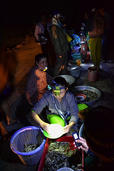 Nhiều người đánh cá cũng ứng dụng “công nghệ” điện thoại di động để nắm bắt giá sát với thị trường.  