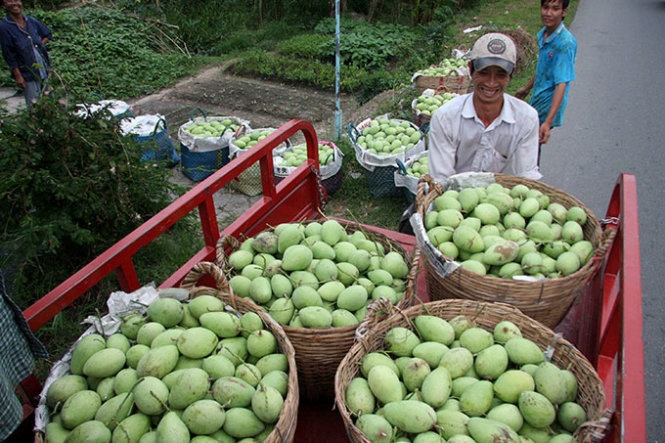 Trai cay Viet lu luot xuat ngoai hinh anh