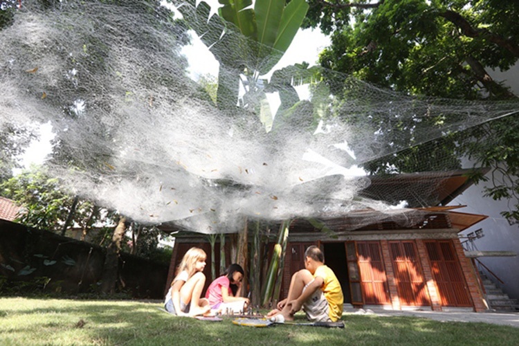 Nha tre truyen thong doc dao giua Ha Noi hinh anh