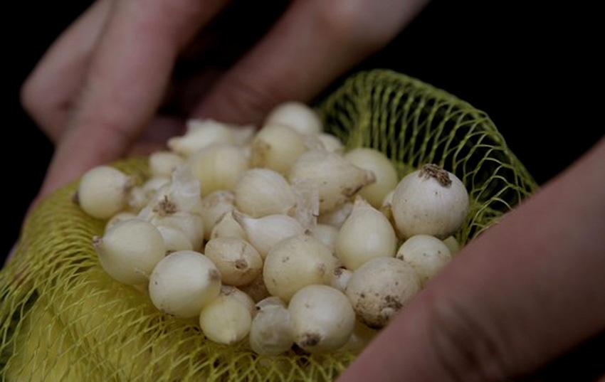 Vi sao cu nen ban o cho mang gap 3 lan gia goc? hinh anh