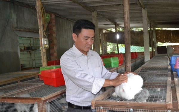 Nuoi tho lai 30 trieu dong/thang hinh anh