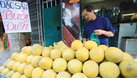 Du kieu 'dac san' doi lot dip Tet hinh anh