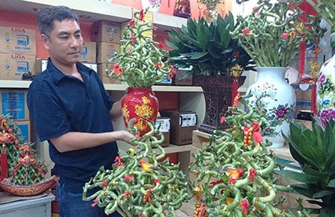 Kieng doc chung Tet hut hang hinh anh