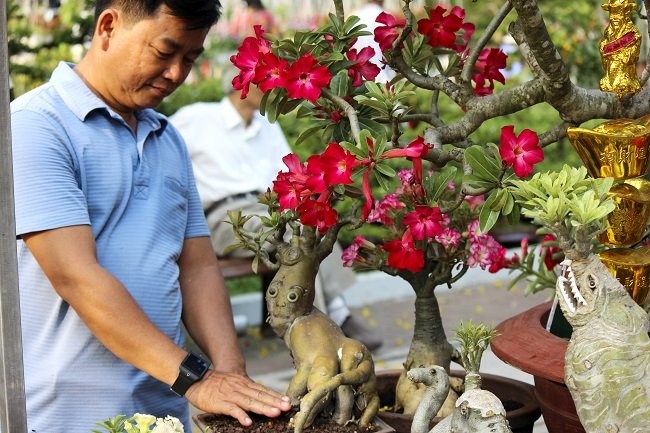 Su kieng hinh thu thu hut khach hinh anh