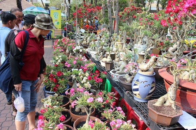 Nhiều khách tham quan đến ngắm nhìn những cây kiểng hình thú.