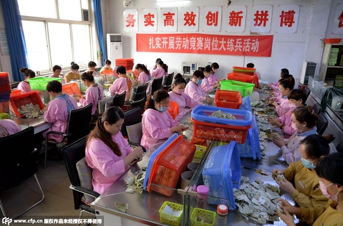 Số lượng nhân viên kiểm đếm tiền hàng chục người, ngồi trong nhiều tiếng đồng hồ.