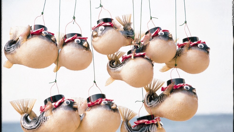 Vi sao nguoi Nhat bo nghin do an ca noc chet nguoi? hinh anh