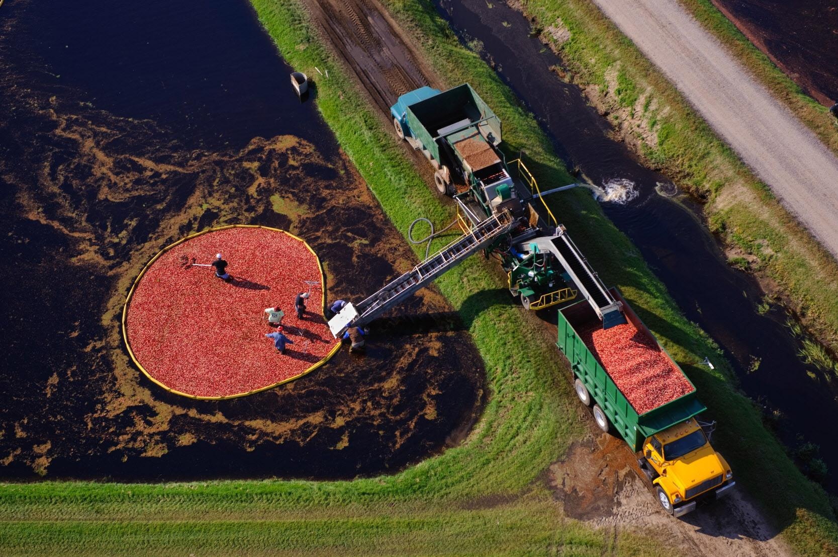 Sau đó đưa lên máy rửa và chất vào xe. Ảnh: Jsonline.