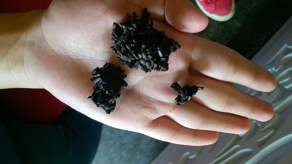 Hoang mang voi gao la hinh anh