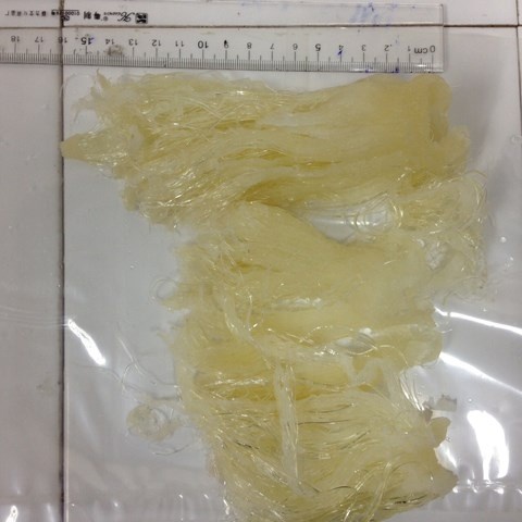 Vi cá mập giả mạo, có thể làm từ nhựa dẻo.