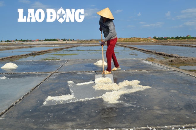 Diêm dân Quảng Bình luôn canh cánh nỗi lo bị ép giá.