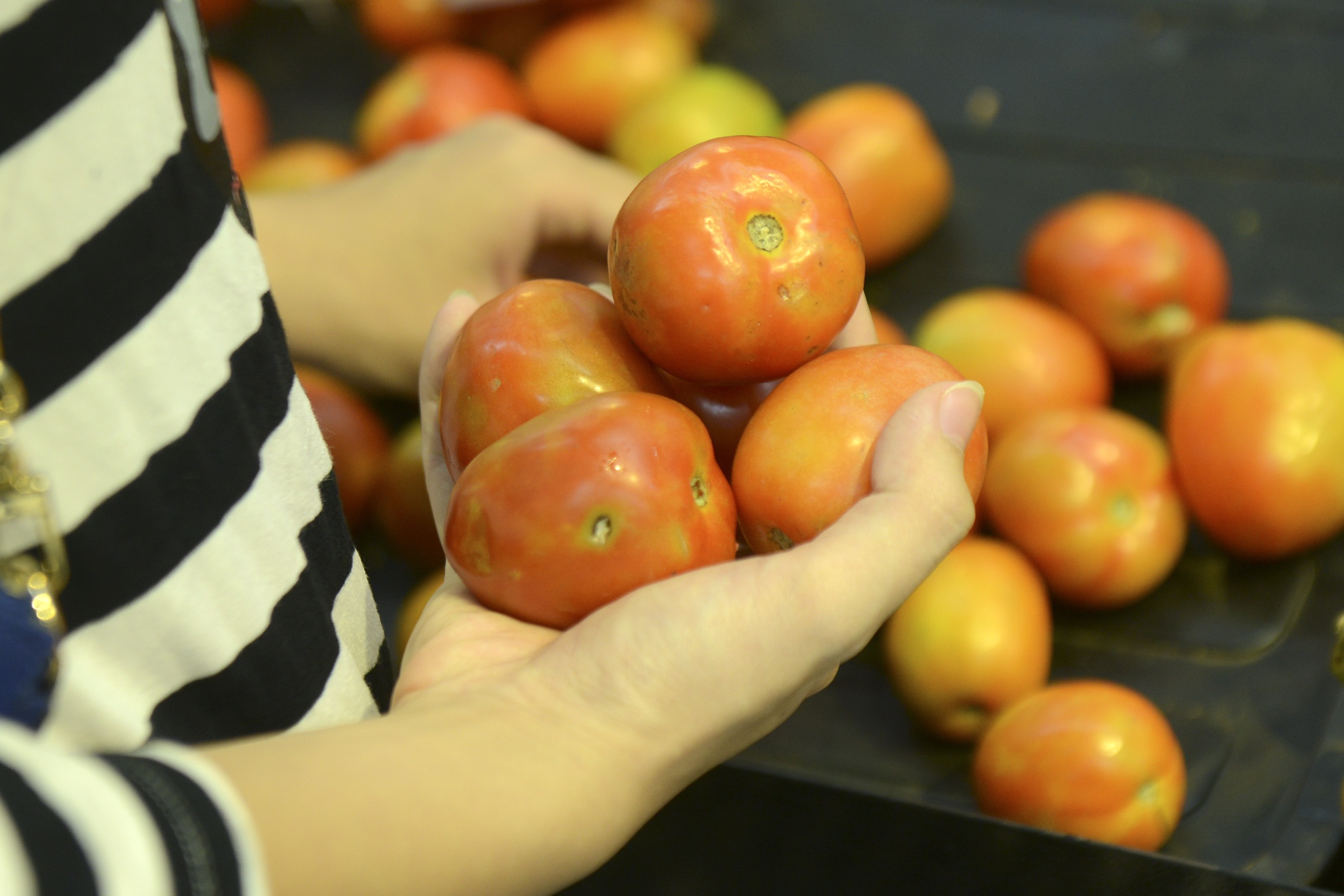 Ban le Viet Nam da qua thoi ca lon nuot ca be hinh anh