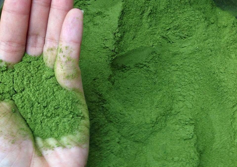  tiếp theo là hương liệu, chiếm 20%. Thực tế, để sản xuất 1.000 lít nước ngọt, các doanh nghiệp sẽ sử dụng 1kg hương liệu. Tribeco tiết lộ, 95% doanh nghiệp sản xuất sử dụng hương liệu công nghiệp để sản xuất nước giải khát, bao gồm cà phê, trà xanh, trà đen, sen, nhài, bông cúc, các loại hương hoa quả... Nguồn: VietinbankSC.