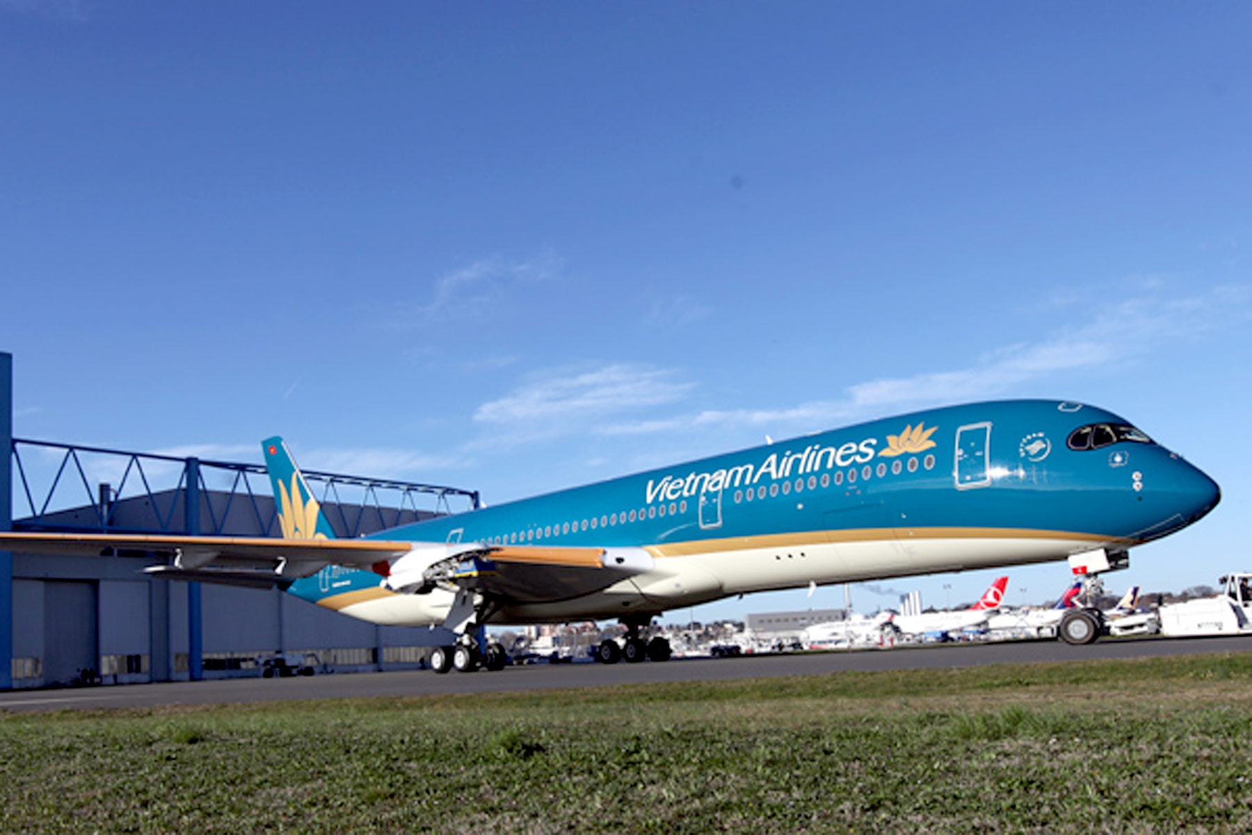 Cuc hang khong yeu cau hang bay tang ve gia re hinh anh