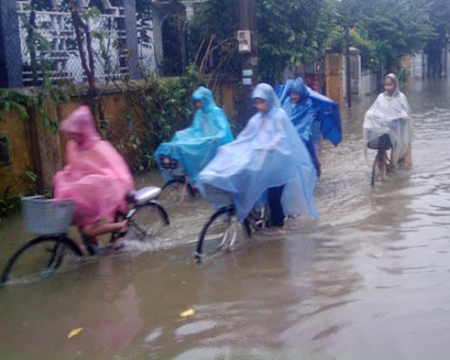 Toan bo hoc sinh Hue nghi hoc tranh bao hinh anh
