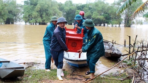Nguoi dan ong giet 2 con giua ron lu hinh anh
