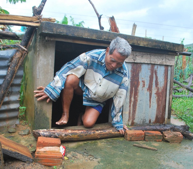 Ham tranh bao cua gia lang o Da Nang hinh anh