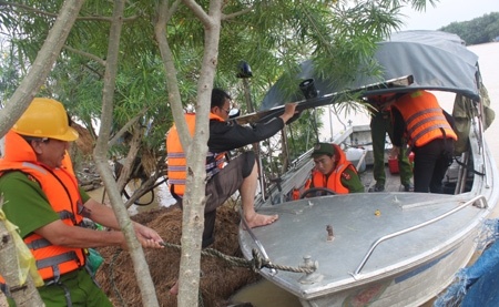 Dan hot hoang vi tin don vo dap lon nhat Binh Dinh hinh anh