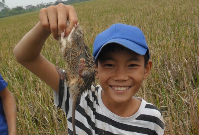 Hoc sinh thanh pho phai nop... duoi chuot hinh anh