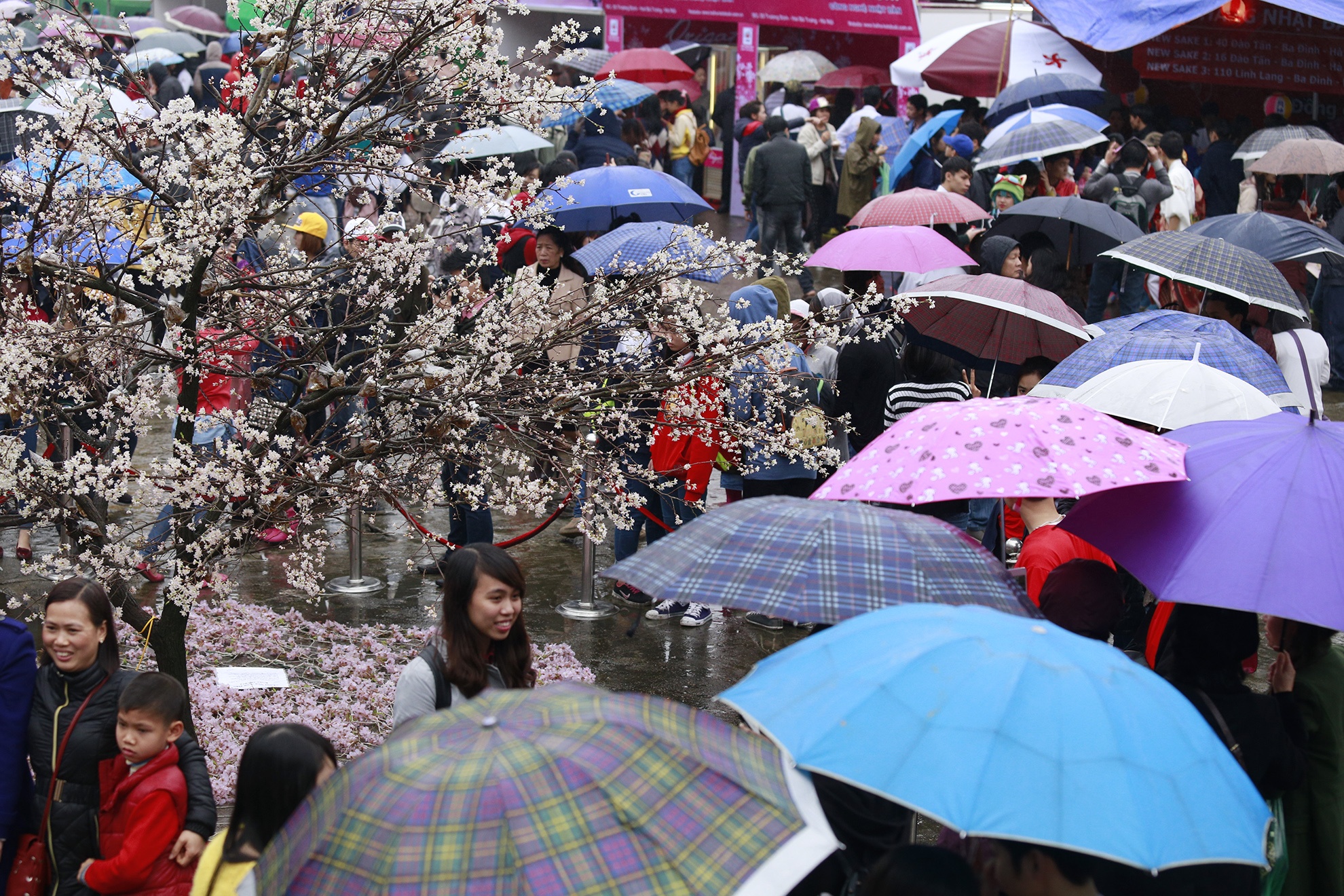 Gioi tre Ha thanh doi mua di chup anh hoa anh dao hinh anh