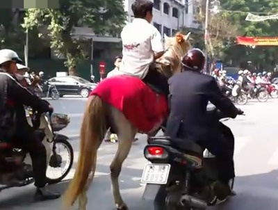 Thanh nien cuoi ngua giua pho tai Ha Noi hinh anh