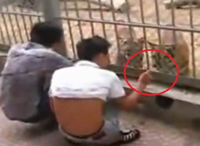 4 hanh dong choi ngong cua gioi tre Viet hinh anh