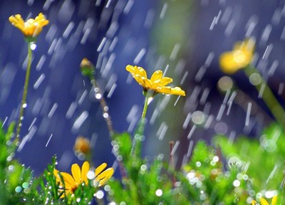 Thu bay cua ban (26/4) hinh anh